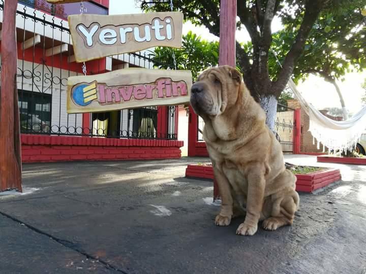 Posada Turistica Yeruti Encarnación Exterior foto